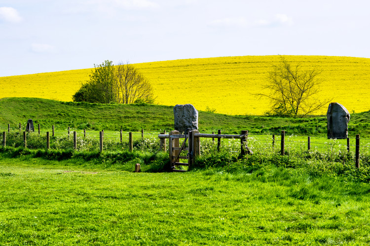 Arte fotográfico Natural Meadow Landscape and Abstract of Stones - Pewsey