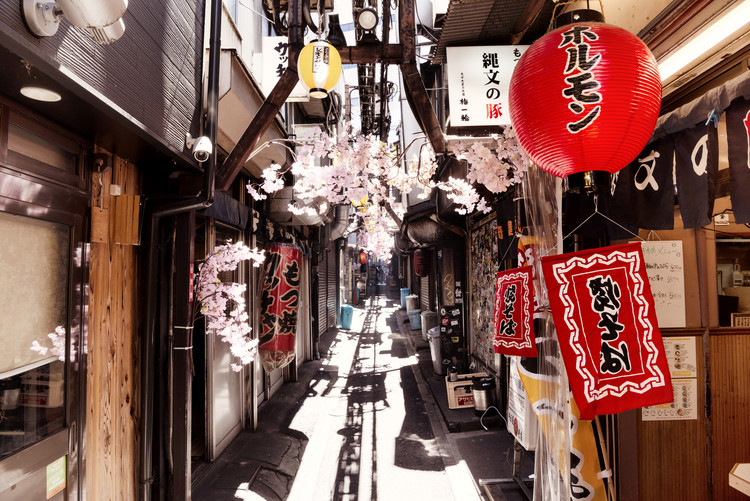 Arte fotográfico Omoide Yokocho Shinjuku II