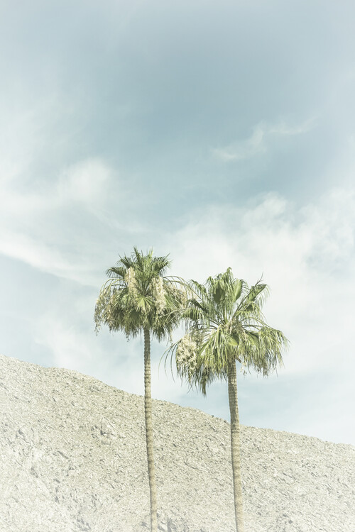 Arte fotográfico Palm Trees in the desert | Vintage
