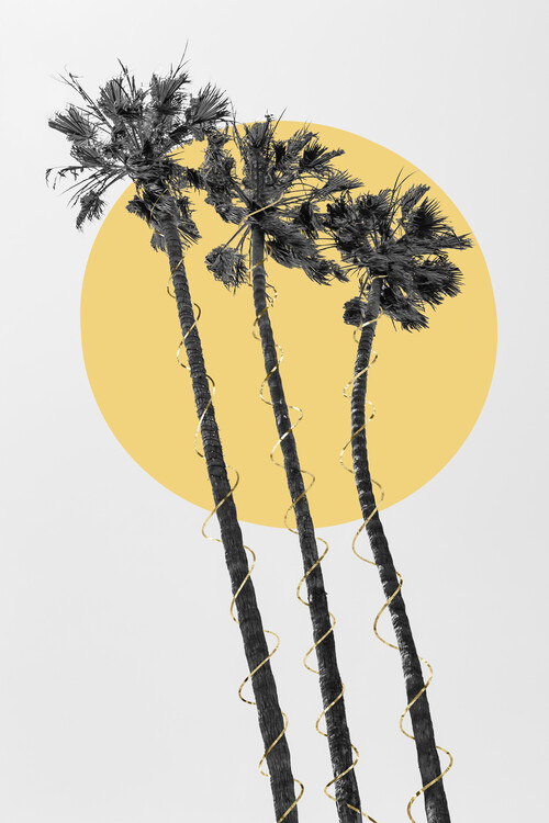 Photographie d'art Palm Trees In The Sun