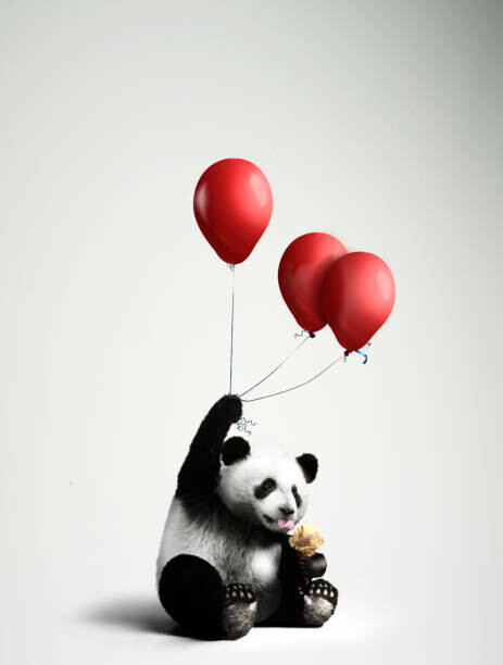 Kunstfotografi Panda holding balloons, licking ice cream