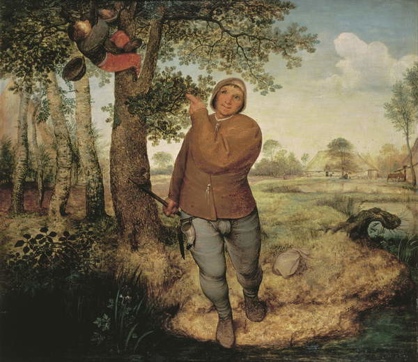 Obraz na plátně Peasant and Birdnester, 1568