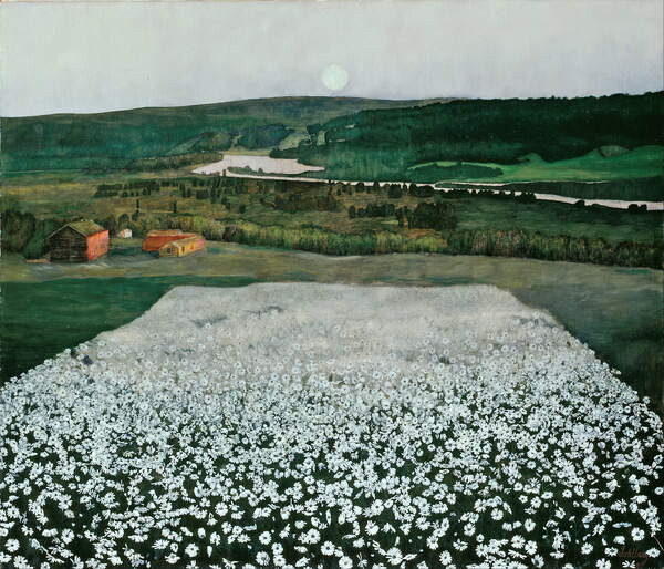 Tableau sur toile Prairie de fleurs dans le Nord
