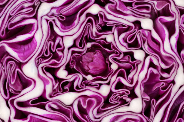 Fotografie Red cabbage portion macro background