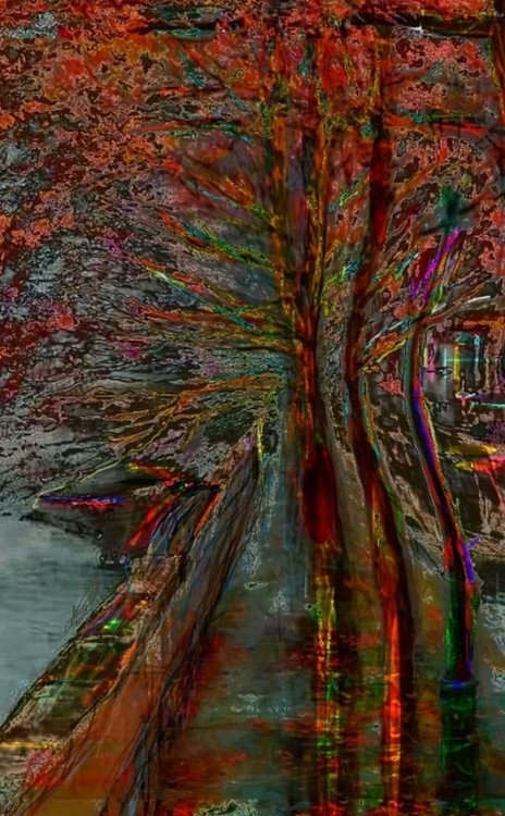 Umelecká fotografia RIVEROSSO