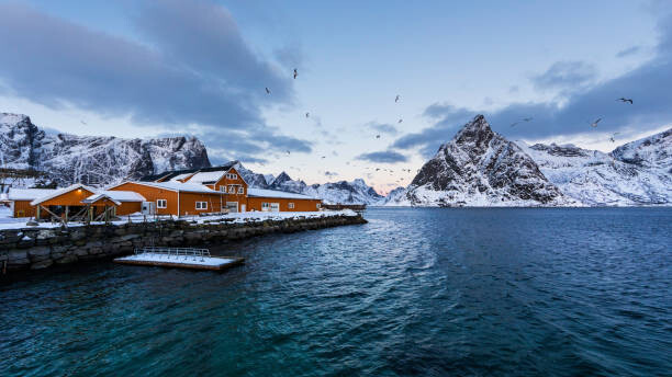 Fotografia artystyczna Sakrisoy fish factory of Lofoten Norway