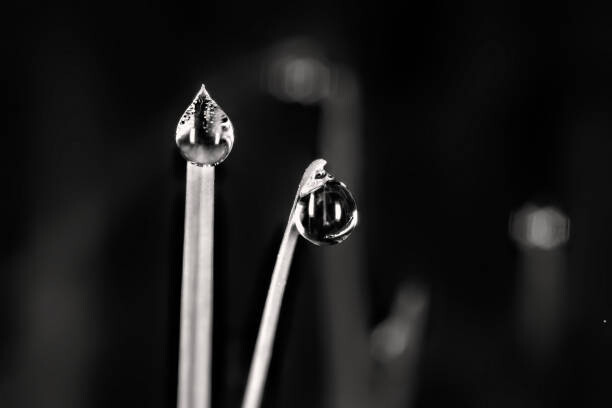 Művészeti fotózás Shiny Water Drops in Monochrome