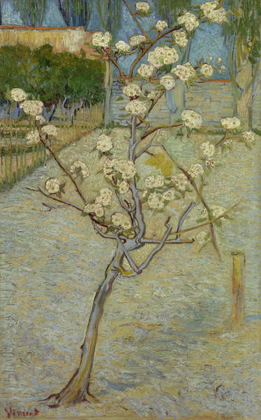 Umelecká tlač Small pear tree in blossom, 1888