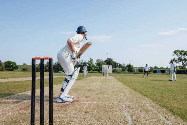 Umetniška fotografija Sunny Cricket Moments