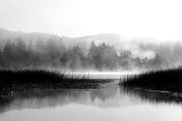 Fotografia artystyczna Sutton Lake