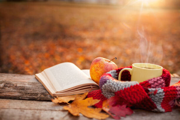 Konstfotografering Tea mug with warm scarf open book and apple