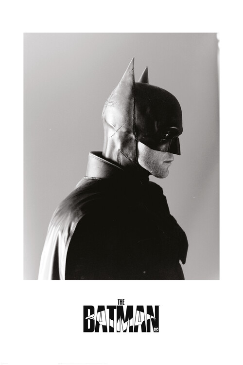 Plakát Obraz The Batman 2022 Bat Profile Dárky A Merch Posters Cz