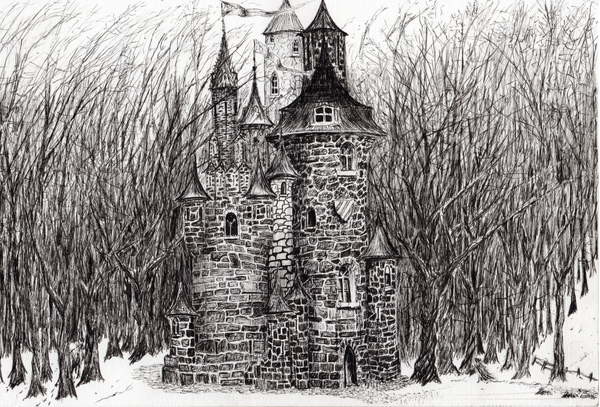 Fototapeta The Castle in the forest of Findhorn, 2006,