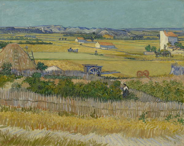 Obraz na plátně The Harvest, 1888