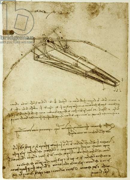 skildring han skat The Machine for flying by Leonardo da Vinci - Codex Atlantique |  Reproduktioner af berømte malerier | Europosters