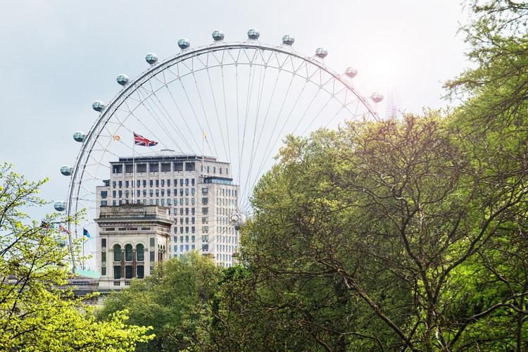 Photographie d'art The Millennium Wheel View