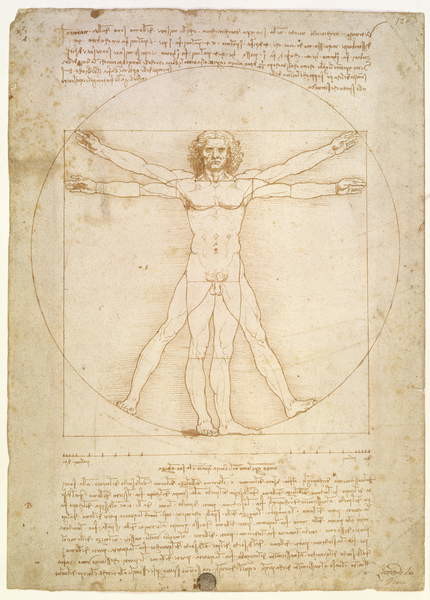 Obraz na plátně The Proportions of the human figure , c.1492