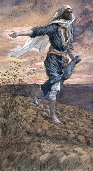 Obrazová reprodukce The Sower
