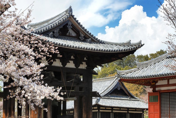 Arte fotográfico Todai-ji Temple Nara