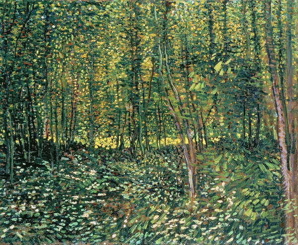 Obrazová reprodukce Trees and Undergrowth, 1887