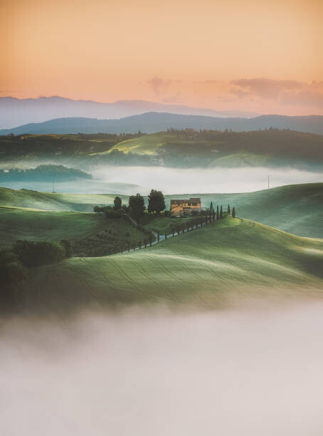 Fotografi Tuscany sunrise landscape view of green