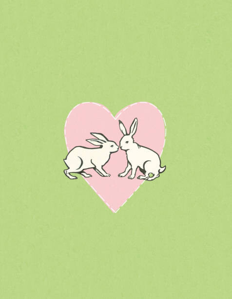 Umělecká fotografie Two Rabbits in a Heart