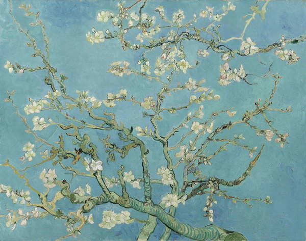 Obraz na plátně Vincent van Gogh - Květoucí větve mandlovníku