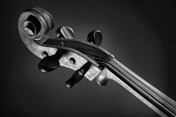 Fotografi Violin's fingerboard