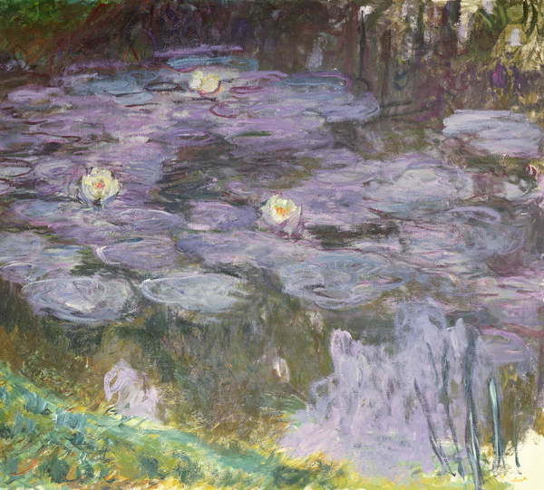 Umelecká tlač Waterlilies, 1917