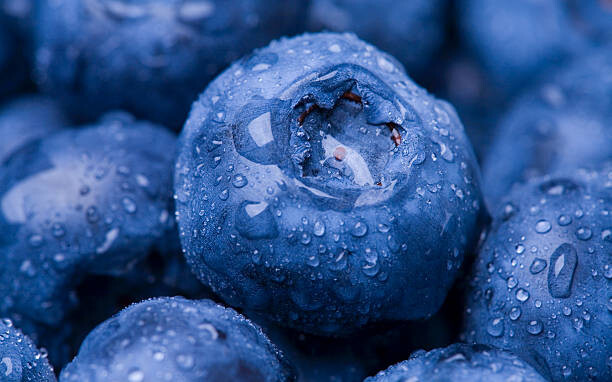 Kunstfotografie Wet Blueberry Closeup