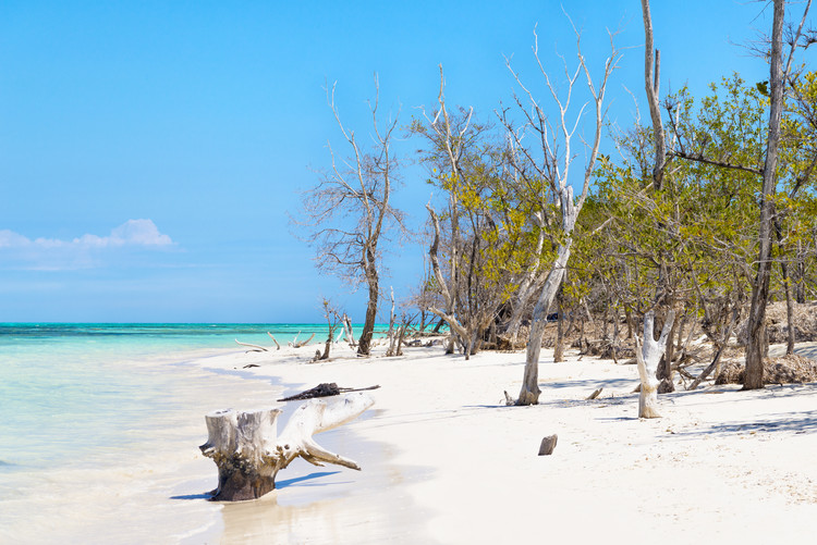 Photographie d'art White Sand Beach