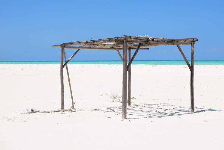 Photographie d'art Wild Arbor