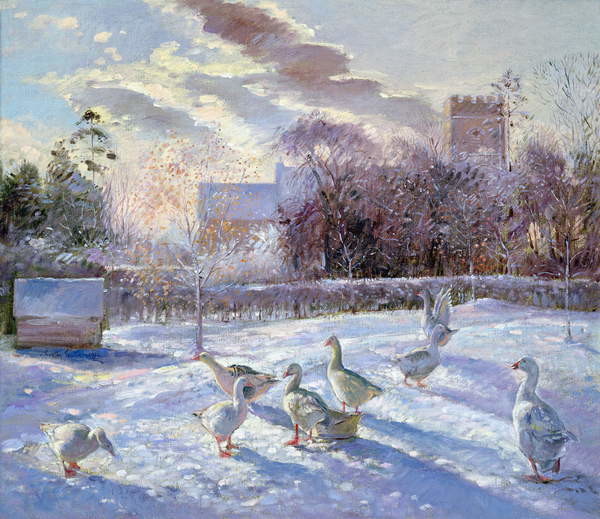 Obrazová reprodukce Winter Geese in Church Meadow