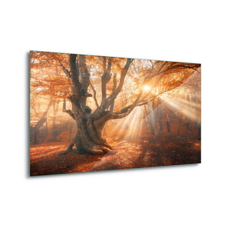 Γυάλινη τέχνη  Autumn Magic