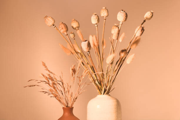 Samolepka Beautiful arrahgement of dried plants