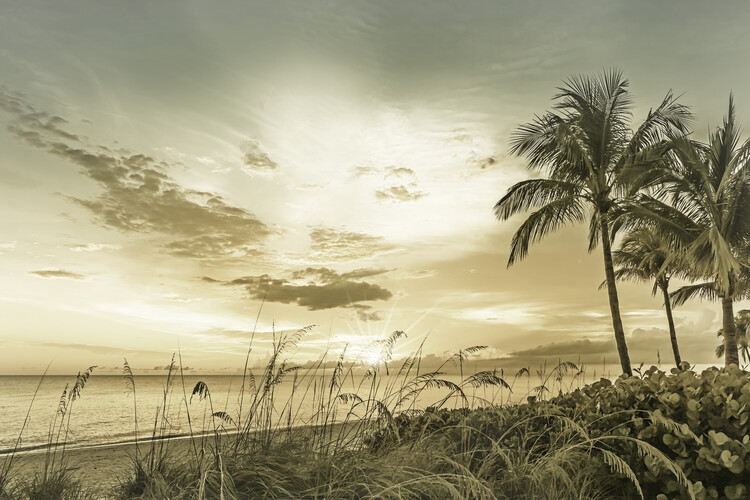 Canvastavla BONITA BEACH Sunset | Vintage