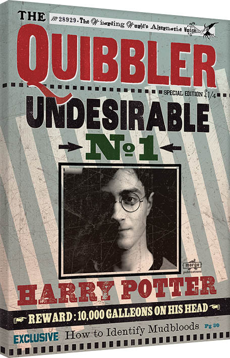 Canvastavla Harry Potter - Quibbler