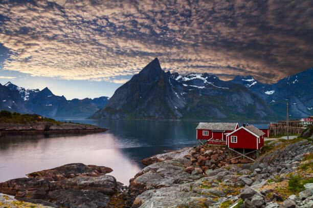 Canvastavla Reine rorbu at sunset, Lofotens