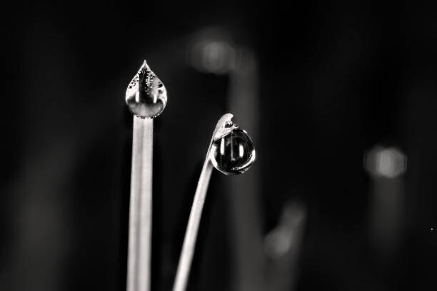 Canvastavla Shiny Water Drops in Monochrome