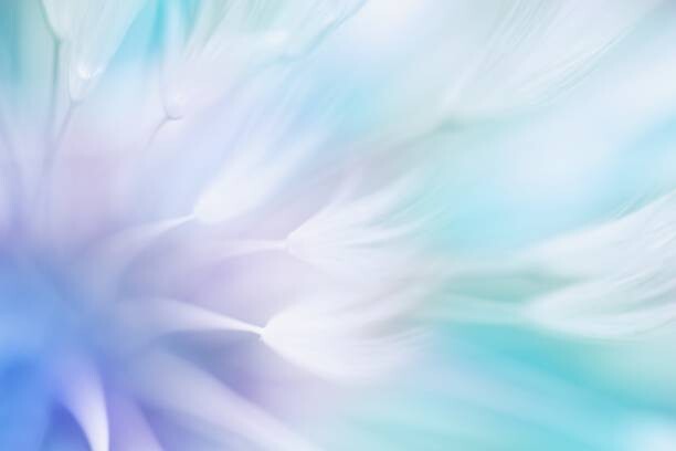 Canvastavla Soft abstract gradient background , abstract