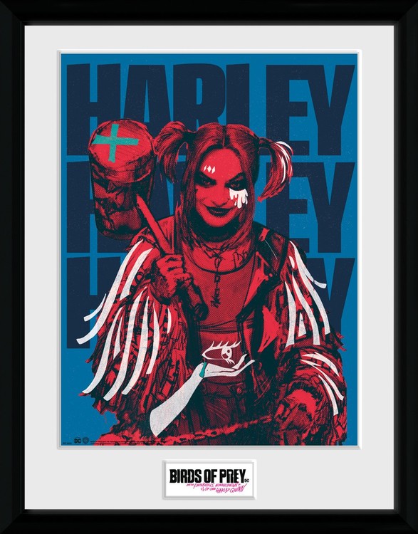 Download Birds Of Prey And The Fantabulous Emancipation Of One Harley Quinn Poster PNG