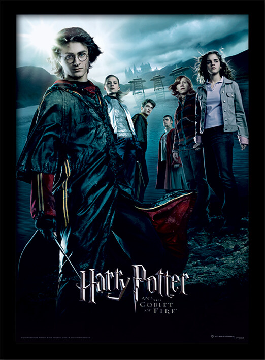 Harry Potter Goblet Of Fire Gerahmte Poster Bilder Kaufen Bei Europosters