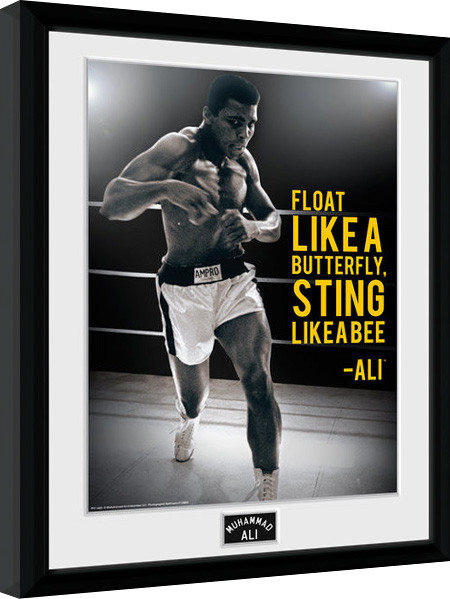 Muhammad Ali Sting Like A Bee Gerahmte Poster Bilder Kaufen Bei Europosters