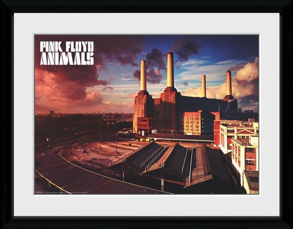 Pink Floyd Animals Gerahmte Poster Bilder Kaufen Bei Europosters