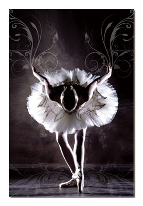 Black & White Ballerina Obraz