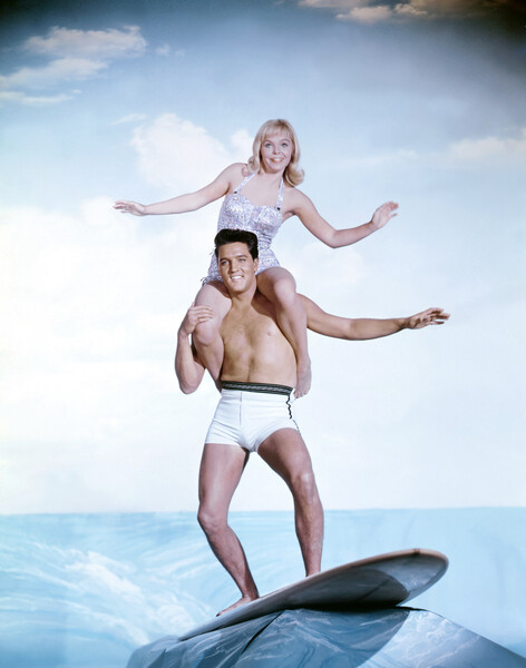 Samolepka BLUE HAWAII