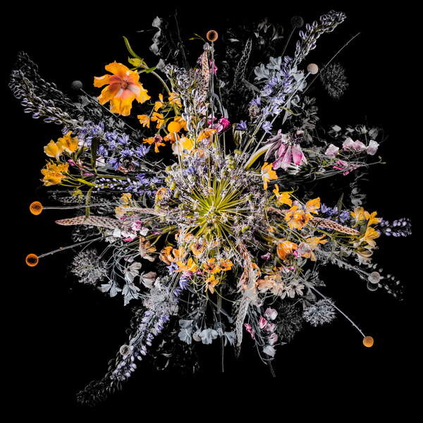 Samolepka Bouquet VII, 2018