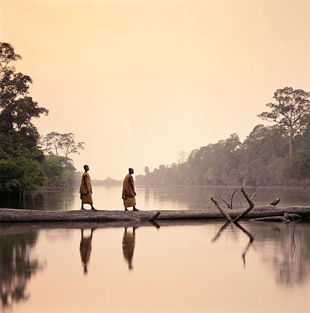 Samolepka Buddhist Monks walking along submerged tree