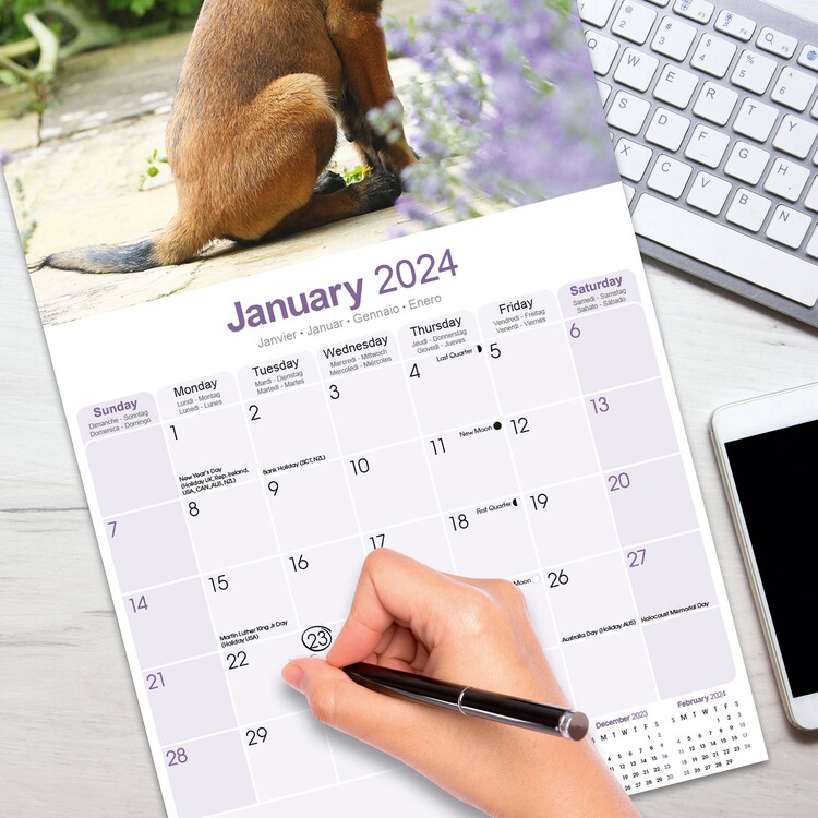 Calendario 2024 da parete 30 x 29 cm DOGS