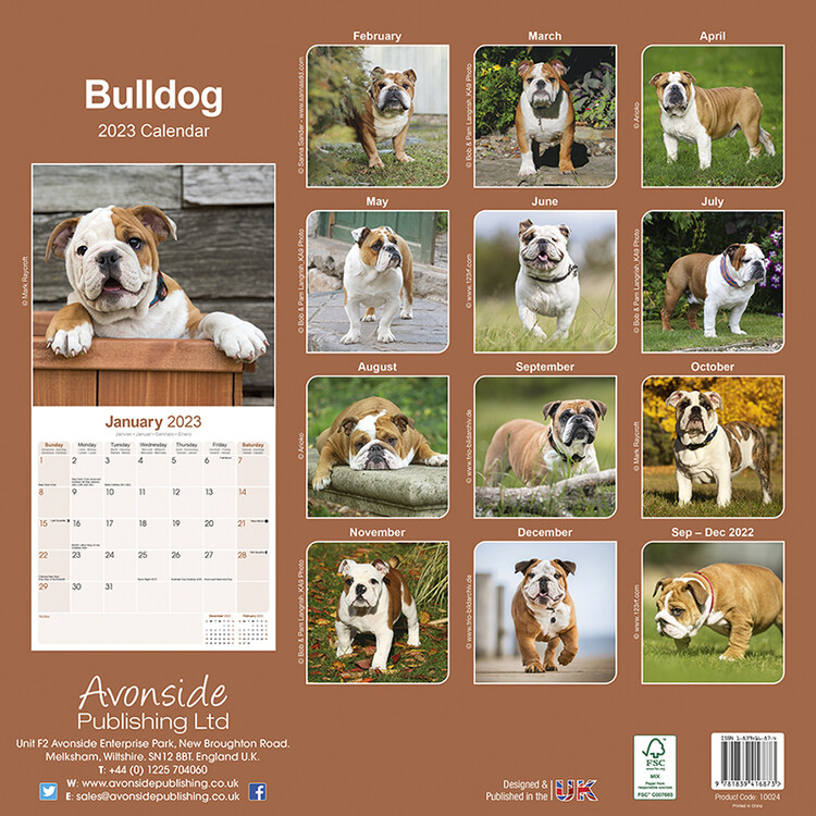 Calendario cani che cagano - WE ❤️ BULLDOG